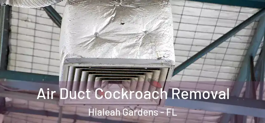 Air Duct Cockroach Removal Hialeah Gardens - FL