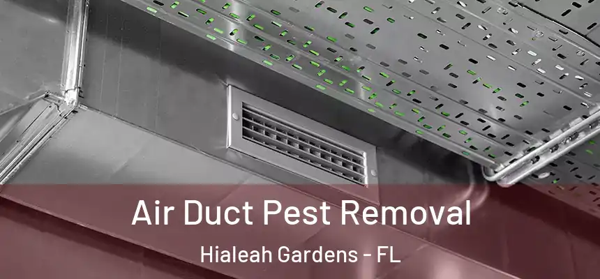 Air Duct Pest Removal Hialeah Gardens - FL