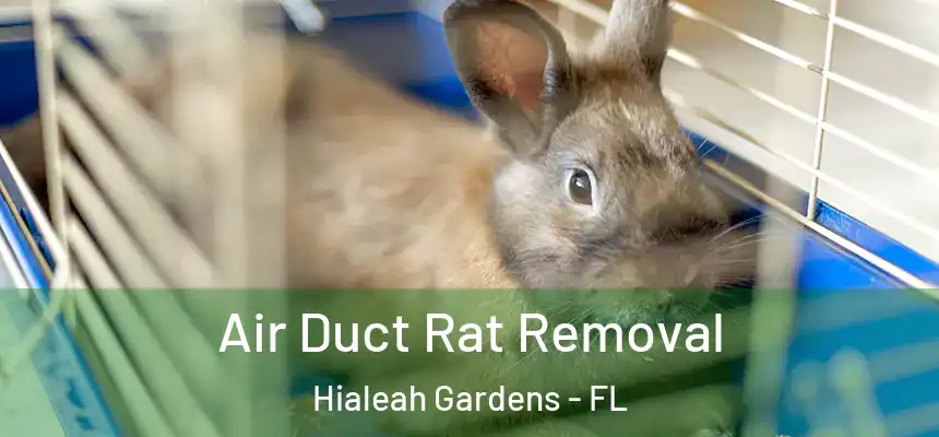 Air Duct Rat Removal Hialeah Gardens - FL