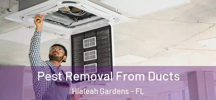 Pest Removal From Ducts Hialeah Gardens - FL