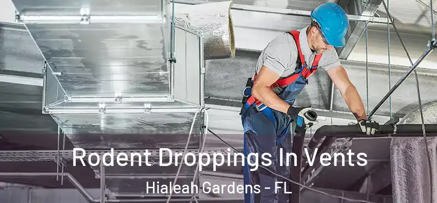Rodent Droppings In Vents Hialeah Gardens - FL