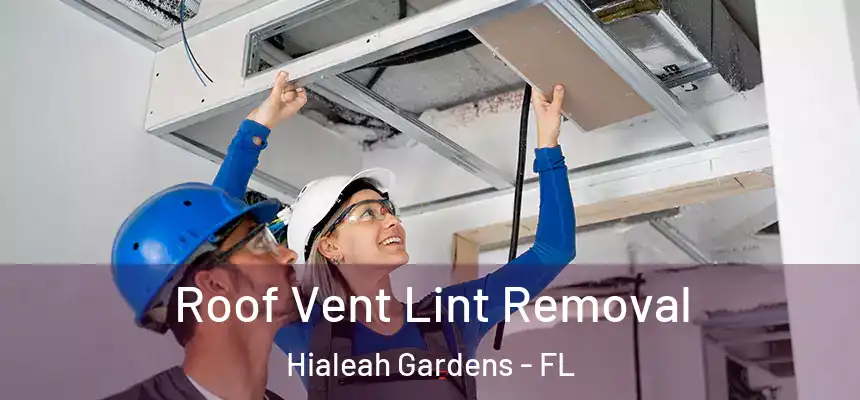 Roof Vent Lint Removal Hialeah Gardens - FL