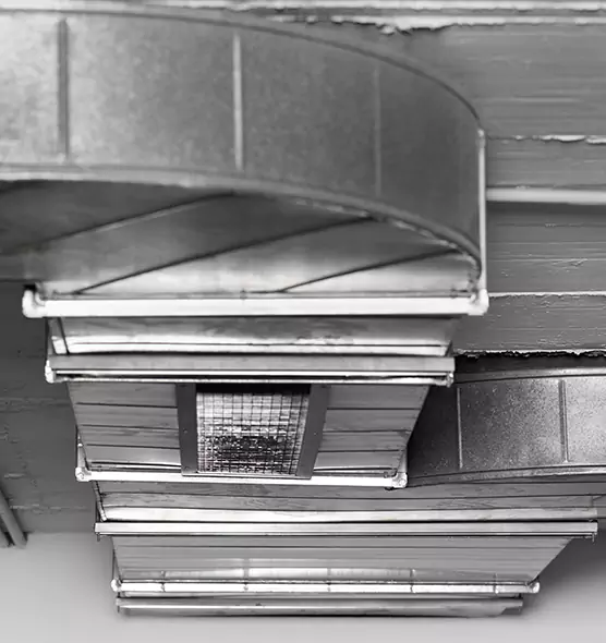 Professional Air Duct Pest Removal in Hialeah Gardens, FL
