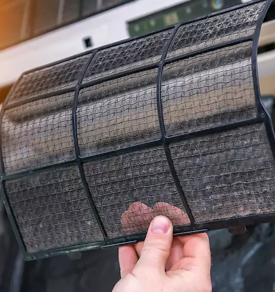 About Pet Dander Duct Cleaning in Hialeah Gardens, FL